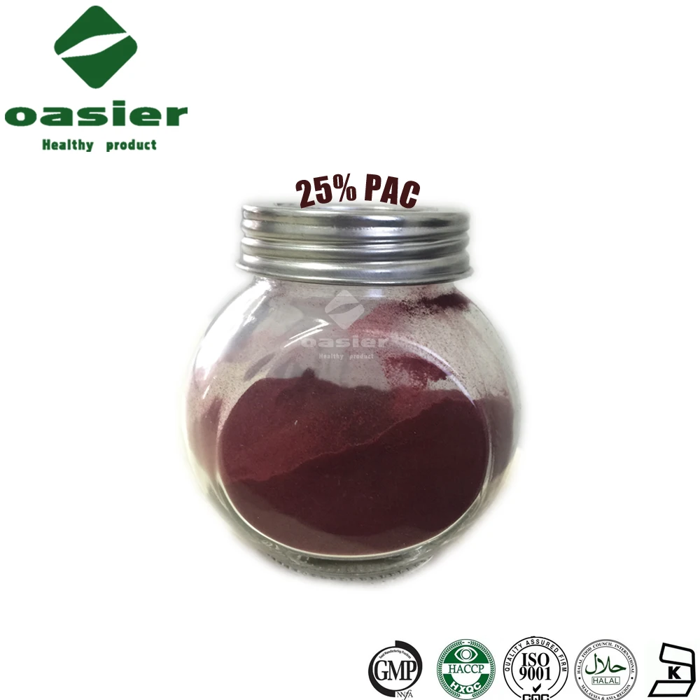 Pure Blueberry Concentrate/Blueberry Extract/Blueberry Fruit Powder
